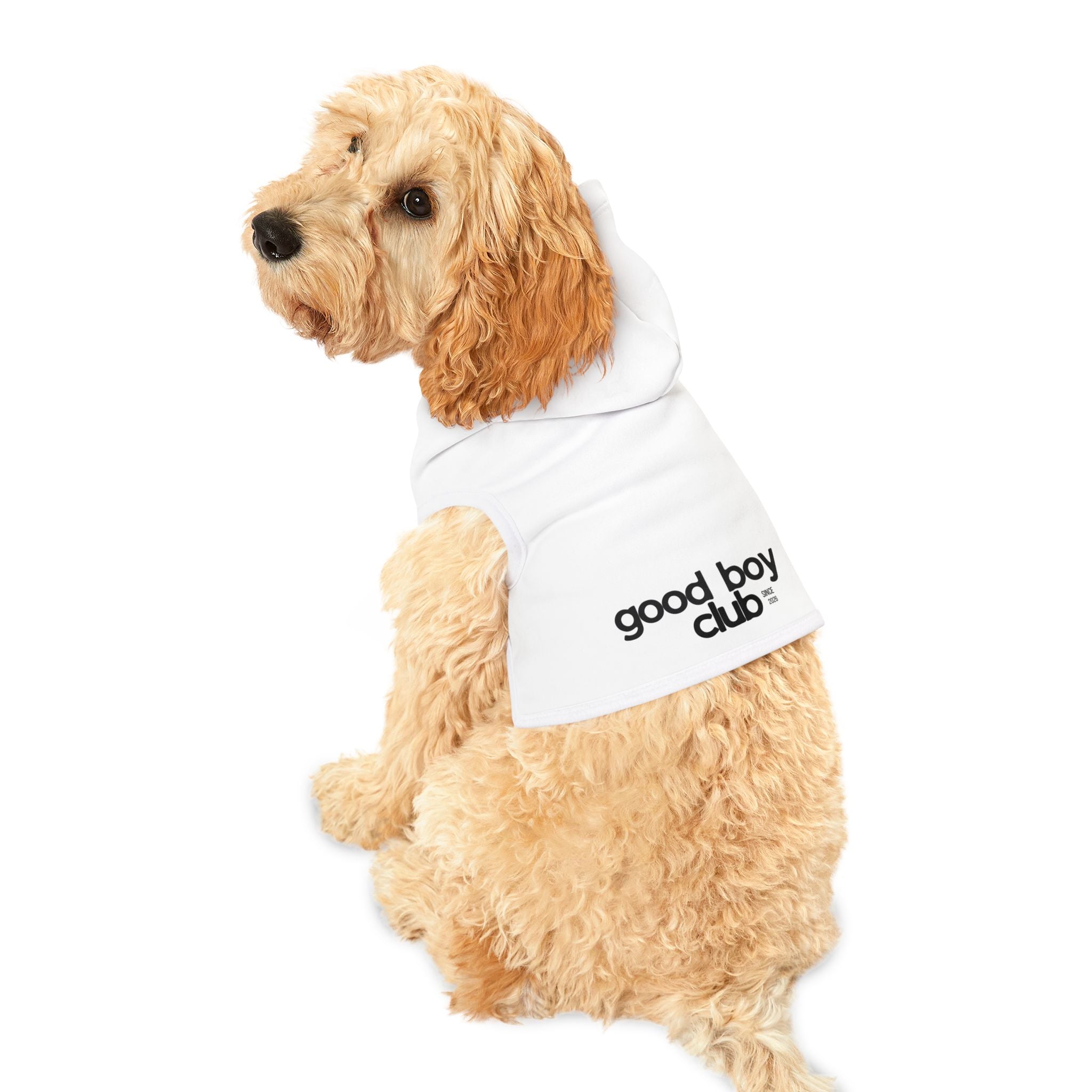 Good Boy Club Dog Hoodie